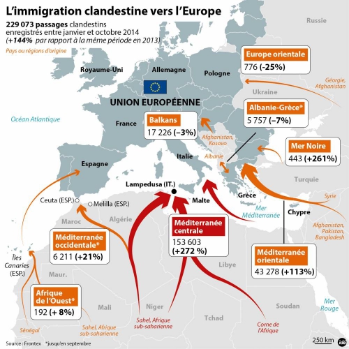 Flux immigration.jpg