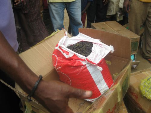 achat de sacs de chenilles : en RDC on les mange comme dans de nombreux pays du monde...