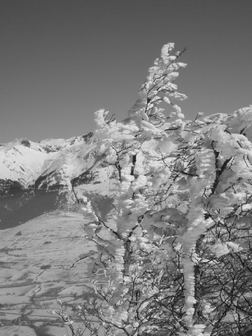 un début de rando en noir et blanc, mais le ciel était bleu !