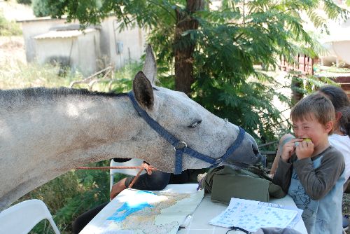 Almila aime aussi les petites poires grecques