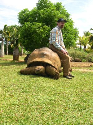 Tortue centaire dans le Parc Crocodile ou Parc Vanille