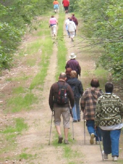 en marche dans un merveilleux paysage