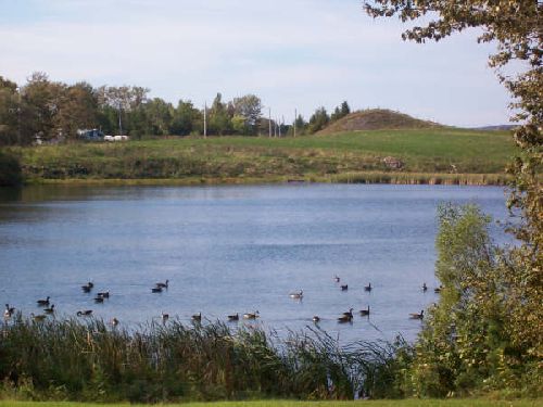 outardes sur la rivière Matapédia