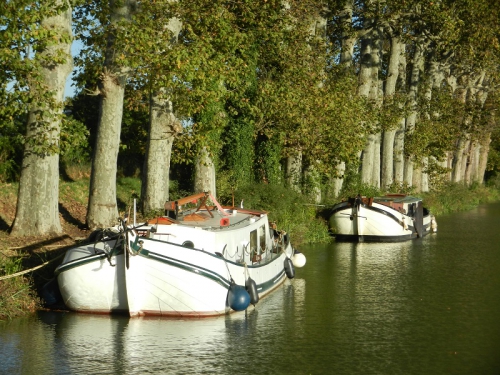 tjalk canal du midi.jpg