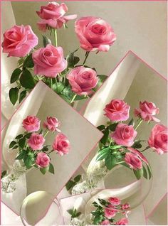 De belles roses pour vous donnez de la joie.