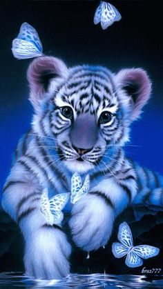 Joli petit tigre, il ne vous fais pas craquer ?