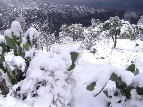 Photo prise au village Tighilt Makhlouf