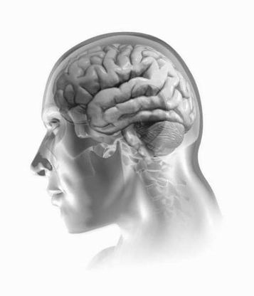 image stylisée d'un cerveau humain human brain facebook ingénierie sociale psychologie manipulation mentale