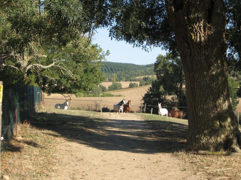 LES ECURIES DES VOTTES