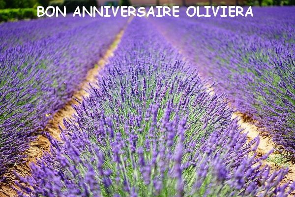 merci Fanette , tu sais combien j'aime la lavande ,un merveilleux parfum de Provence