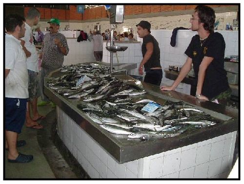 Olhao ( le marché aux poissons)