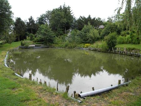 petit-etang-de-peche1.jpg