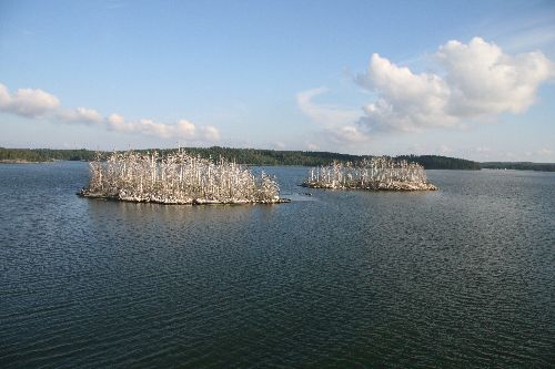 Îles mortes