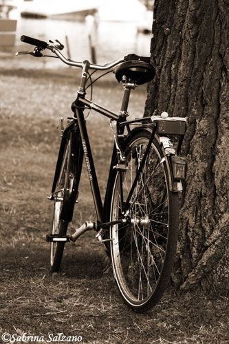 Bicyclette au port