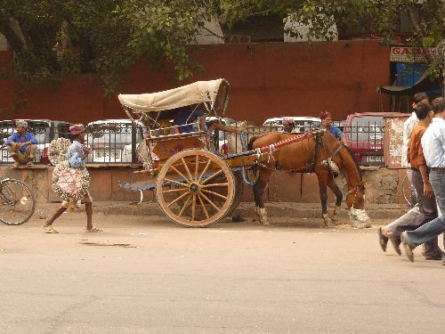 Delhi à cheval