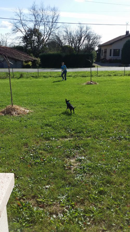 Partie de jeu entre Alexis et Nala