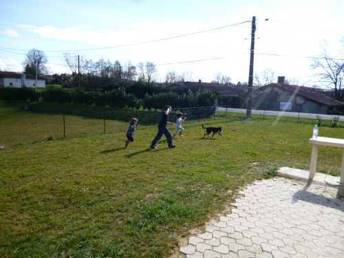 Les enfants jouent avec la chienne