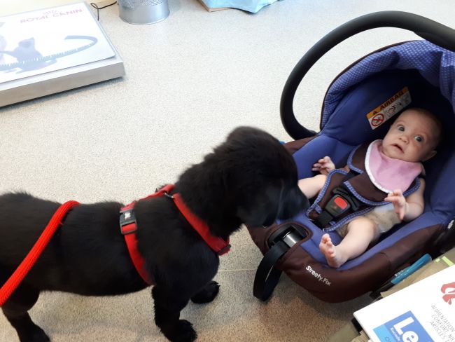 Première visite chez le vétérinaire pour Lucky