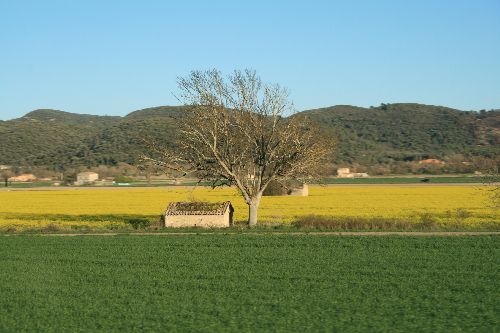 Plaine de Gréoux