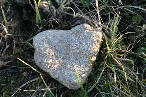 Coeur dans l' herbe