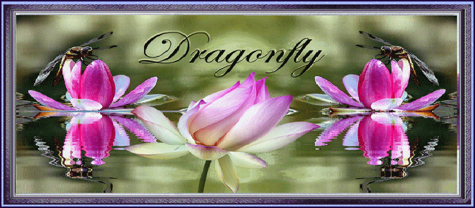 § Dragonfly §