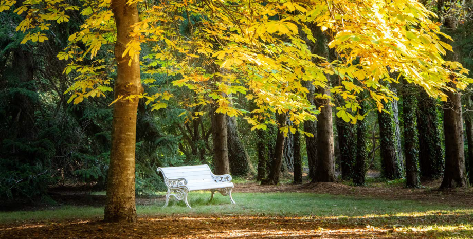 BANC du Parc