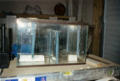 Ici la construction de mon filtre.Un aquarium de 30 litres avec ses compartiments pour une bonne filtration.
