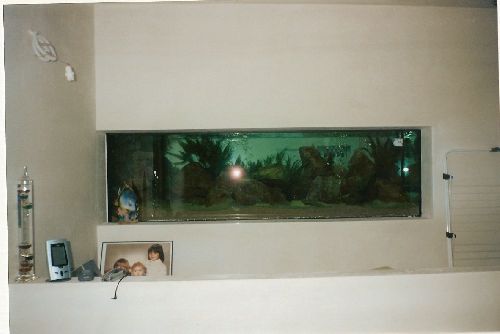 Premier aperçue de l'aquarium!!