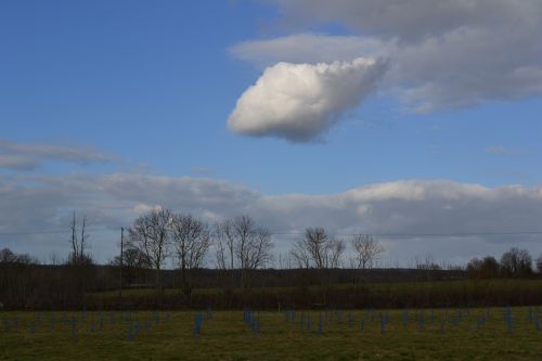 Cumulus solitaire au-dessus de la plantation le 9 mars 2012