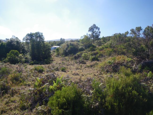 Camp de base à 1600 m (Karthala Grande Comore)