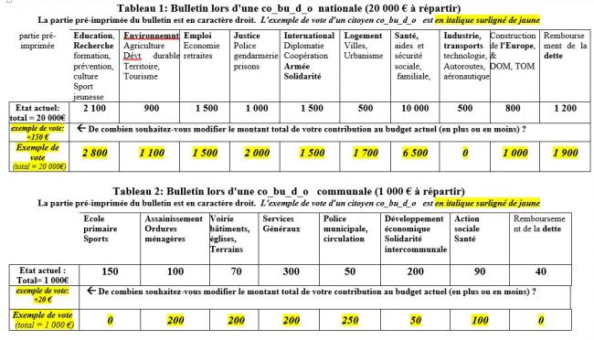 _COBUDOU Exemple de vote consultation