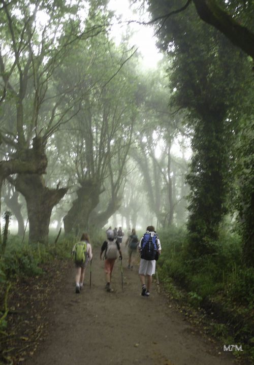 Le matin, la brume nous accompagne jusque vers 10h