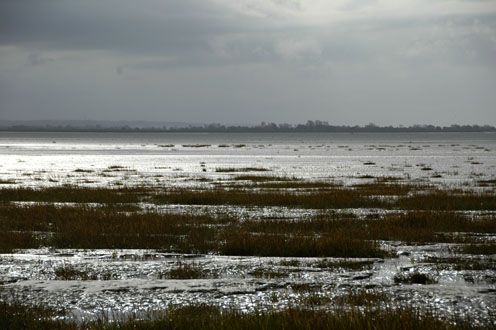 La pêche à l'image à pieds