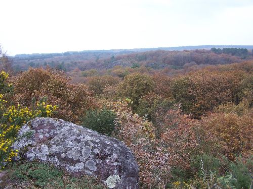 ~~Panorama sur Brocéliande, depuis la Couronne d'Arthur~~