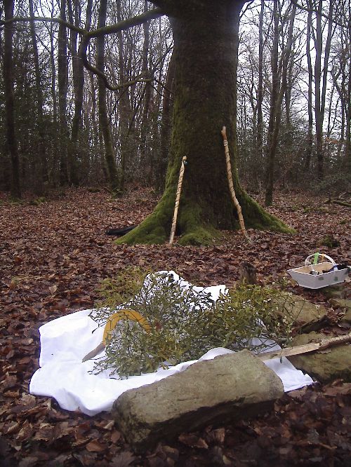 - solstice d'hiver en Brocéliande -