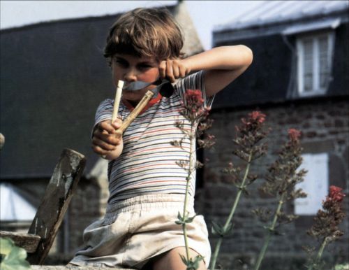 ENFANTS DU NAUFRAGEUR (LES)