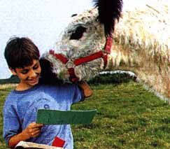 VACHE ET LE PRESIDENT (LA)