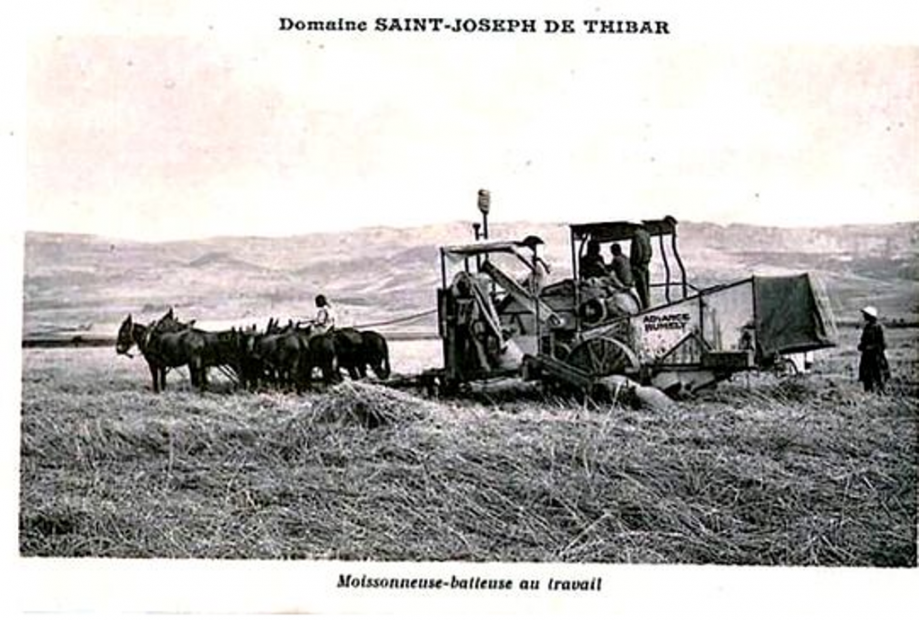 2 MB cheval 1905.png