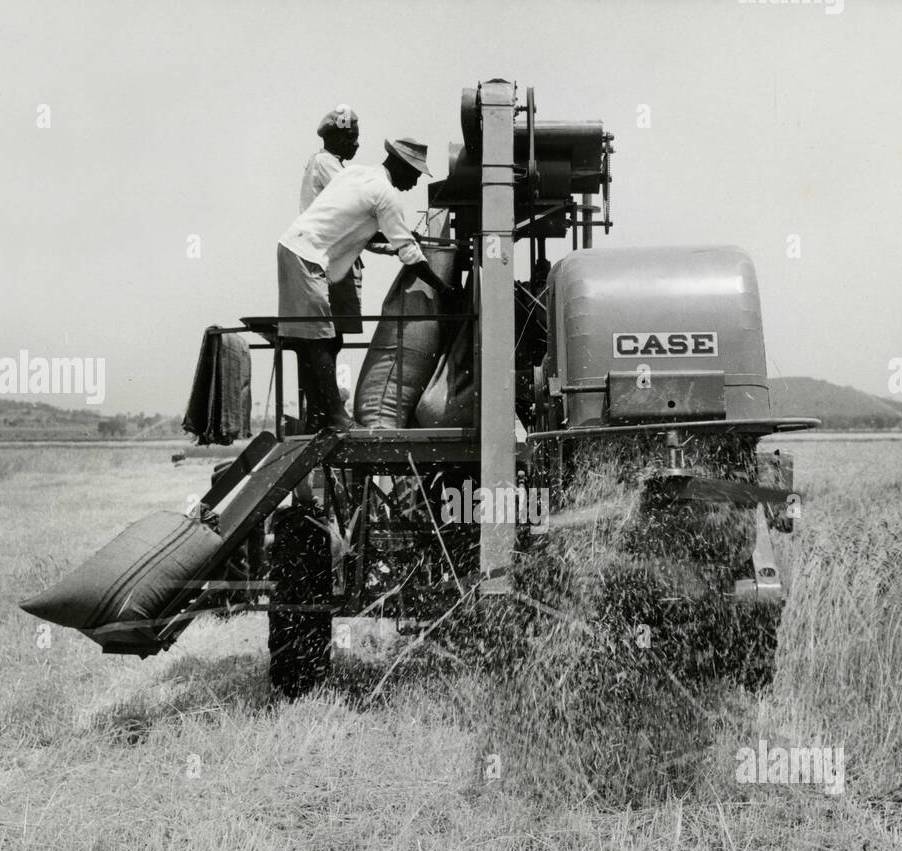 moissonneuse-batteuse-de-cas-a-premiere-recolte-sur-les-meplats-confiance-selection-de-rhodesie-polder-pilote-de-kafue-en-zambie-la-rhodesie-du-sud-1957-maw3rx.jpg