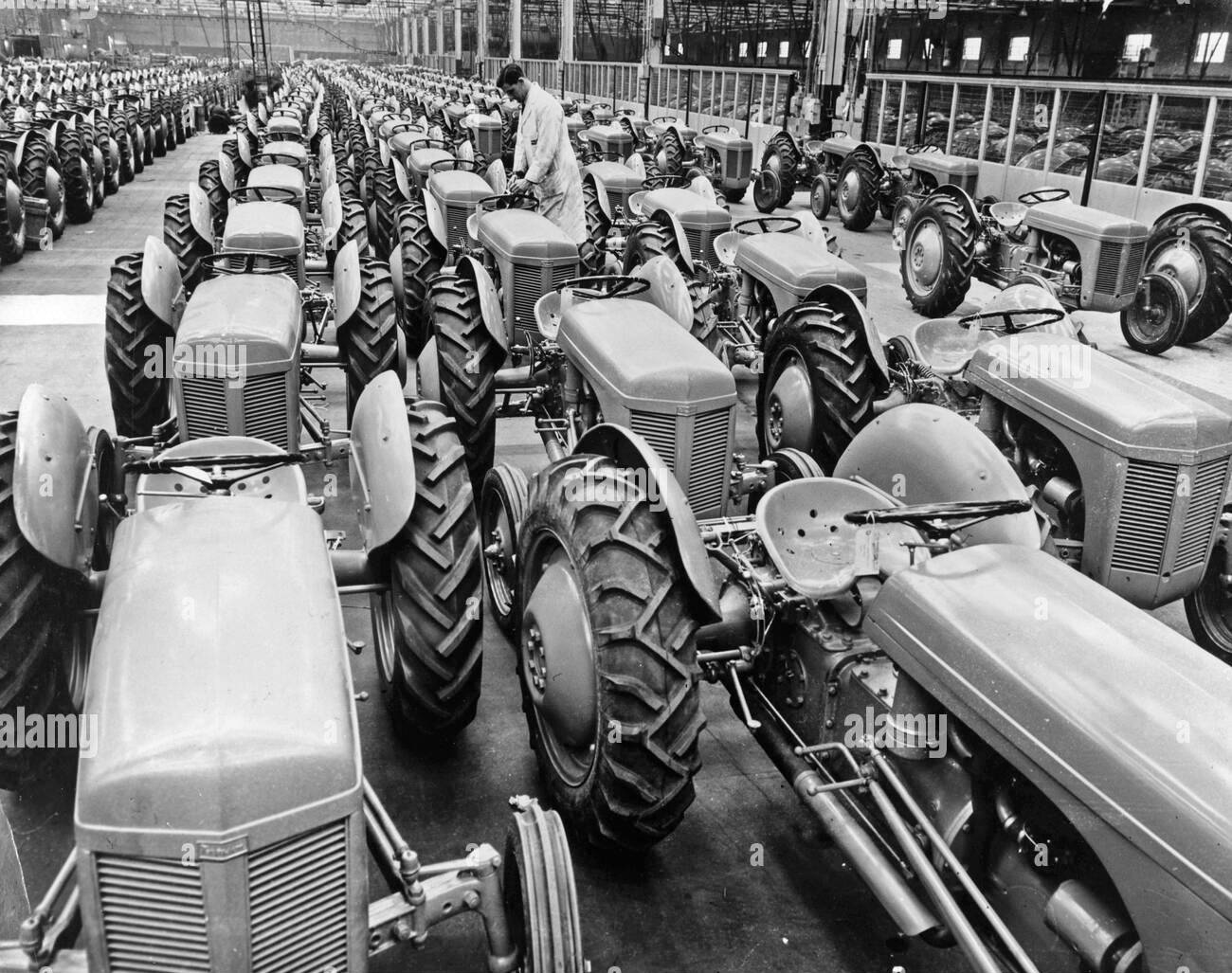 termine-les-tracteurs-ferguson-pic-montre-le-remplissage-des-baies-situees-a-l-usine-de-banner-lane-de-moteurs-standard-1951-a-partir-des-archives-de-communiques-de-presse-anciennement-service-portrait-portrait.jpg