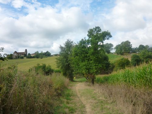 Chemin près de Pimbo