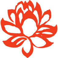 VIETNAM-LOTUS-ORANGE.png