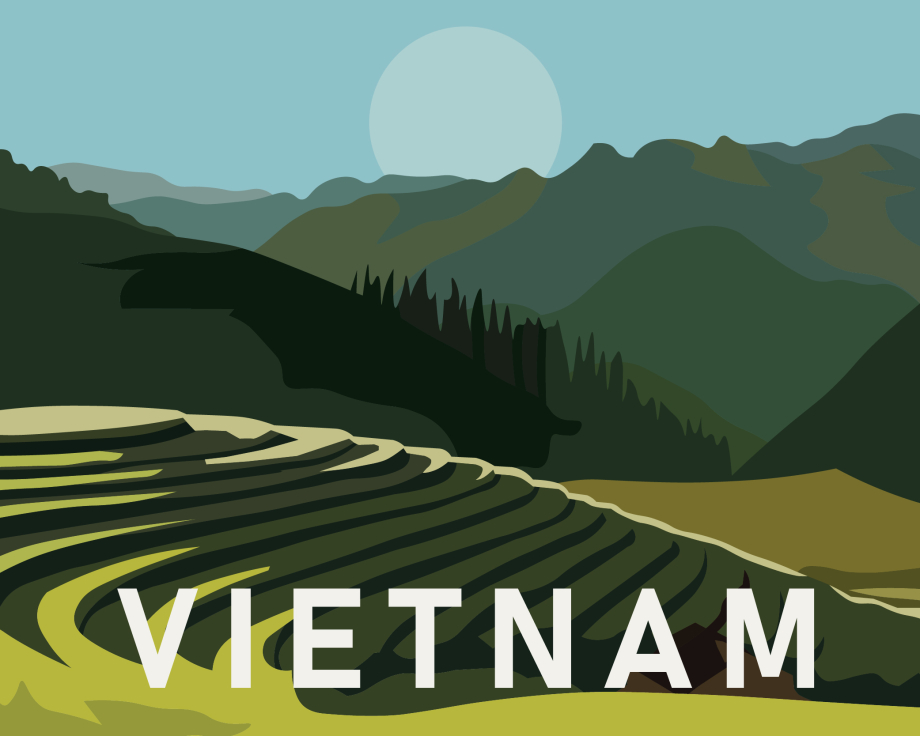 VIETNAM AFFICHE_Plan de travail 1.jpg