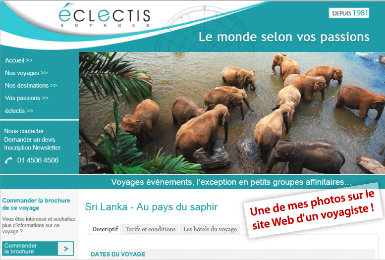 eclectis voyages