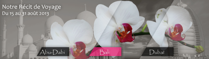 Banière-Bali-RécitV2.gif
