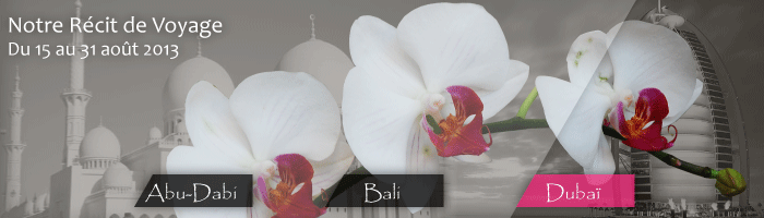 Banière-Bali-RécitV3.gif