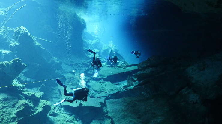 CENOTE-PHOCEA.png