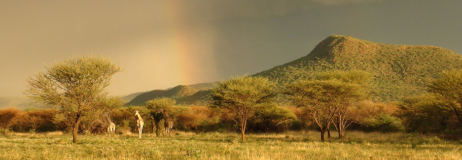 okonjima-okonjima-nature-reserve-africa-ker-downey-rainbow.jpg