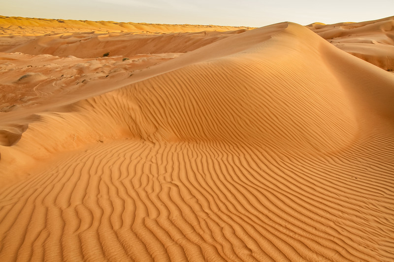 Wahiba_Sands_Desert3.jpg