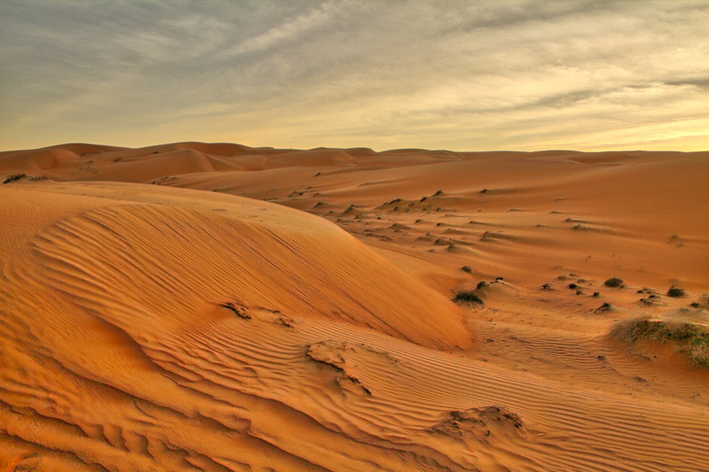 Wahiba_Sands_Desert4.jpg